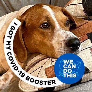 Meet your Posher, Liz